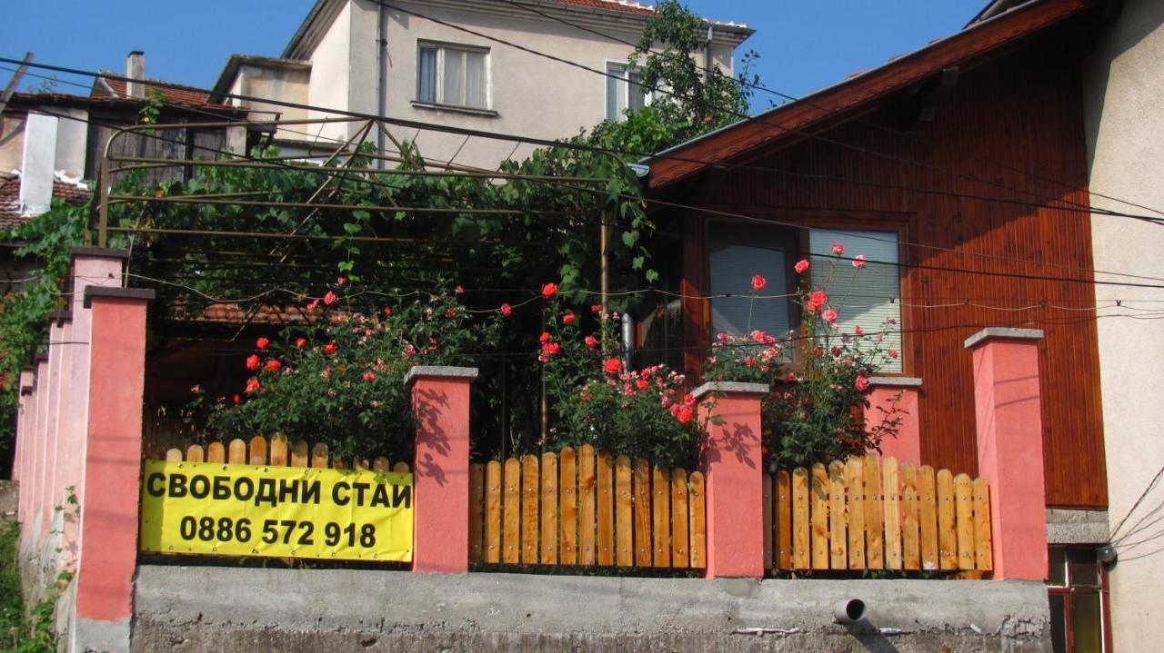 Къща за гости Елена